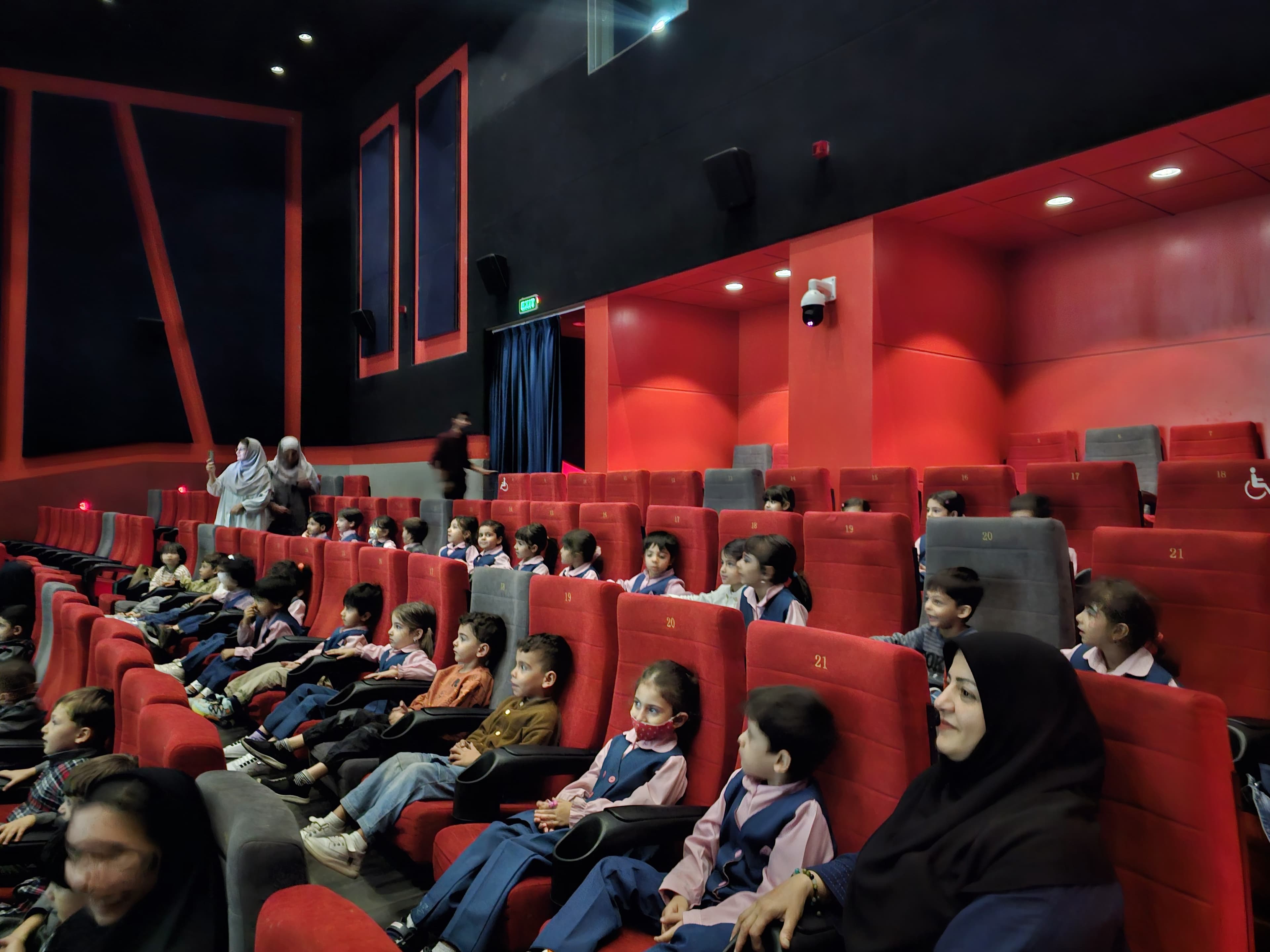 اردو سینما روشا